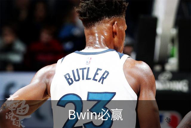 Bwin必赢公司简介